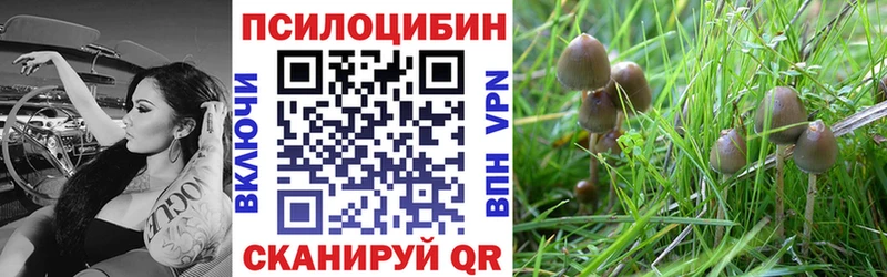 Галлюциногенные грибы мицелий  Купить где  Сретенск 